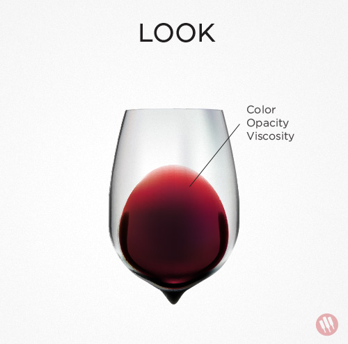 how-to-taste-wine-step-1.jpg