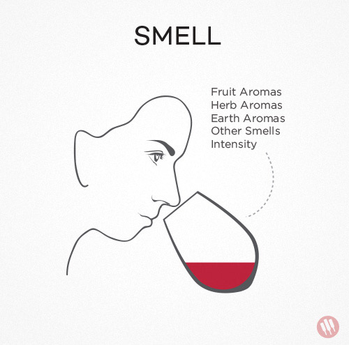 how-to-taste-wine-step-2