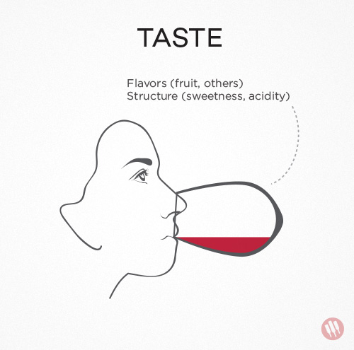 how-to-taste-wine-step-3.jpg
