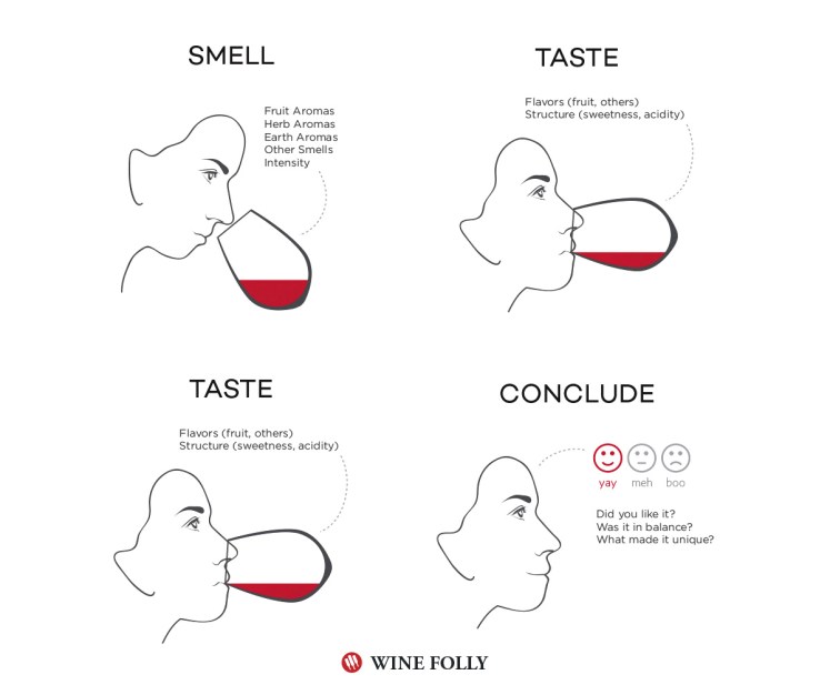 how-to-taste-wine-steps