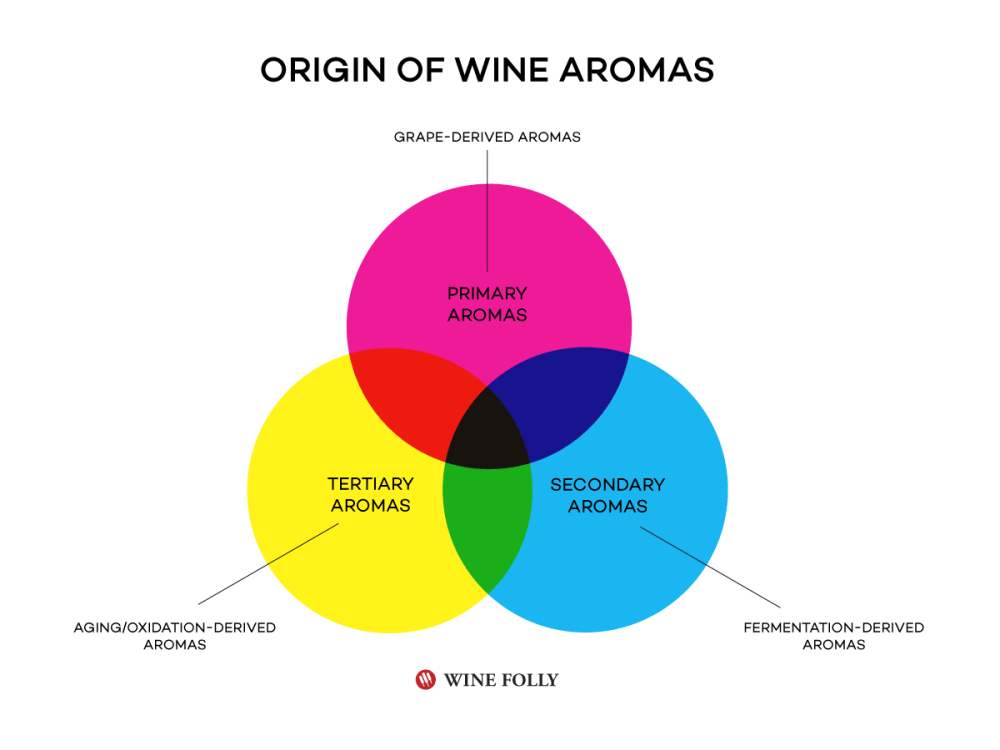 origin-of-wine-aromas-wine-folly